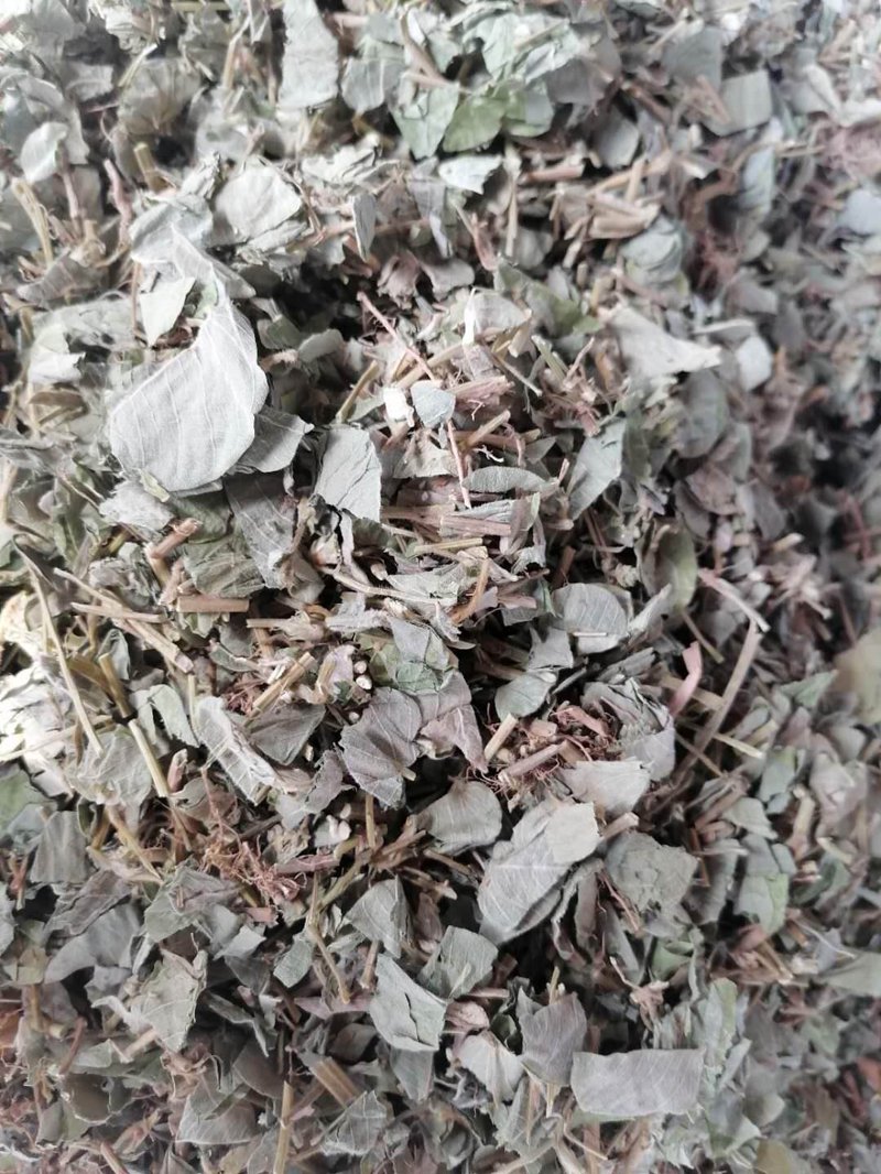 中草药批发:传统与现代的融合