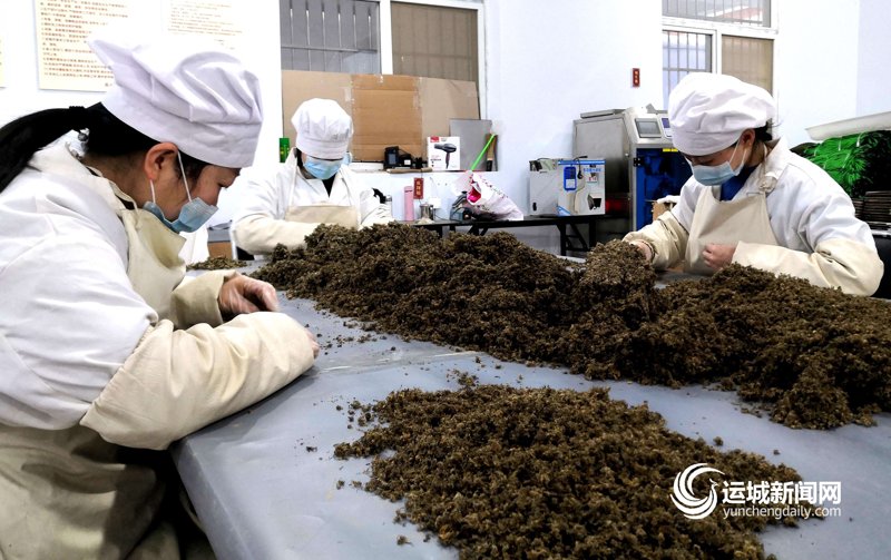 探寻野生中草药收购背后的行业动态